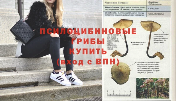 дмт Алзамай