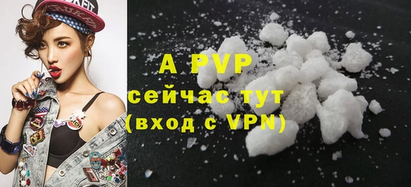 стаф Пересвет