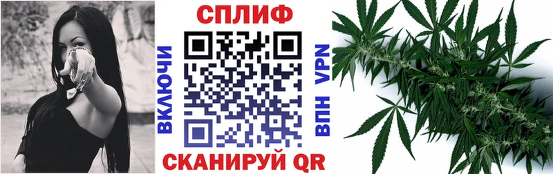 Конопля VHQ  гидра ссылки  Нюрба 